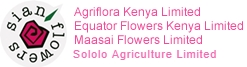 Sian Flowers Logo